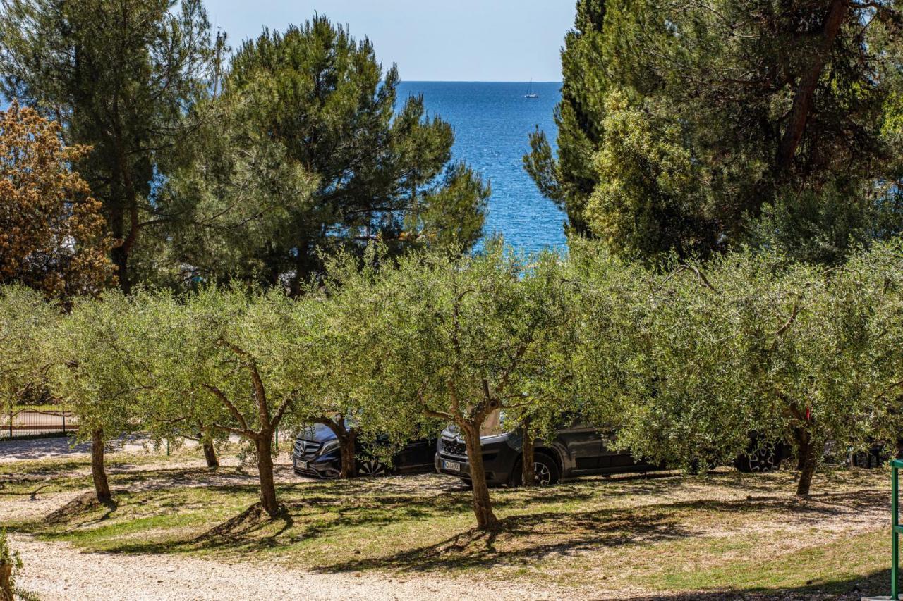 רוביני Porton Nature Hideouts מראה חיצוני תמונה